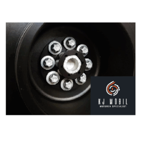 BMW M2/M3/M4 N55 S55 Verriegelung Zentralschraube