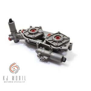 Bmw M52TU+M54 Doppelvanos Instandsetzung
